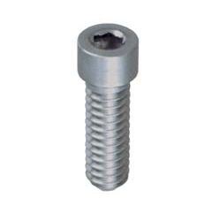 Prosthetic Screw, Titanium, Narrow Platform