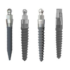 Ingredients for Long Term Success with Small Diameter Implants