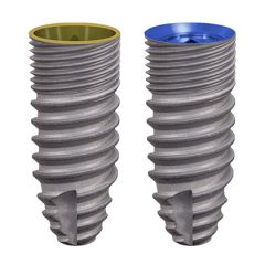 Socket Preservation and Immediate Implant Placement