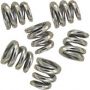 Dalbo Standard Springs, 6