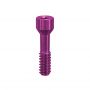 TRU Prosthetic Screw NP, .050 Hex