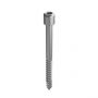 Fixation Screw