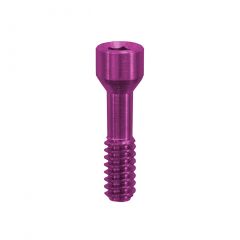 TRU Prosthetic Screw NP, .050 Hex
