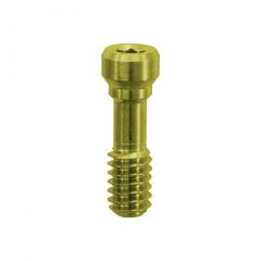 TRU Prosthetic Screw RP, .050 Hex