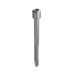 Fixation Screw