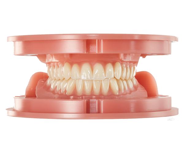 Sterngold Dental, LLC & Merz Dental GmbH Offer Baltic Denture System in the USA